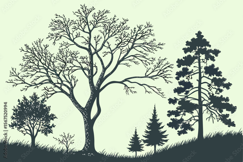 Obraz premium Stylized illustration of a natural landscape with a variety of trees, including deciduous and evergreen, showcasing different seasons and foliage, suitable for environmental themes.