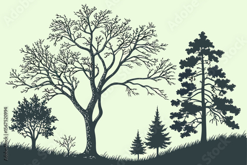 Stylized illustration of a natural landscape with a variety of trees, including deciduous and evergreen, showcasing different seasons and foliage, suitable for environmental themes.