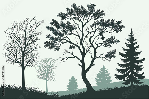 Stylized illustration of a natural landscape with a variety of trees, including deciduous and evergreen, showcasing different seasons and foliage, suitable for environmental themes.