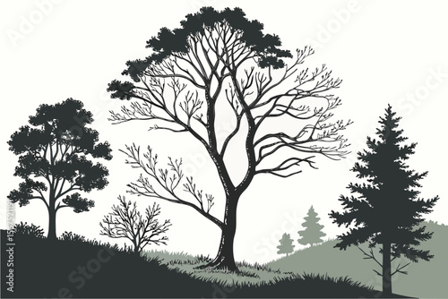 Stylized illustration of a natural landscape with a variety of trees, including deciduous and evergreen, showcasing different seasons and foliage, suitable for environmental themes.