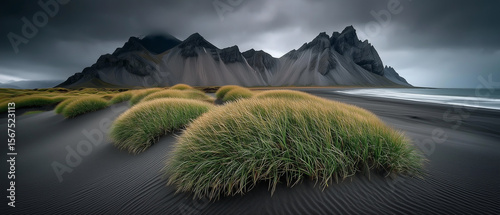 A striking landscape of Stokksnes headland and Vestrahorn mountain, featuring dramatic black sand dunes and vibrant grass tufts beneath a moody sky. 