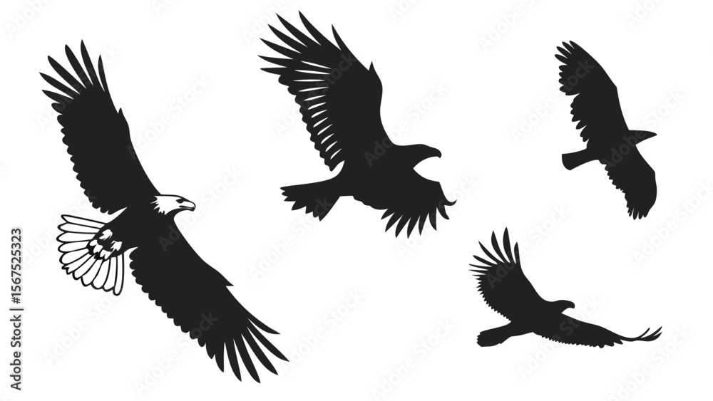 Obraz premium Birds Flying Silhouette Vector Pack