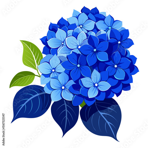 Blue Hydrangea Flower – Vibrant Botanical Bloom with Green Leaves