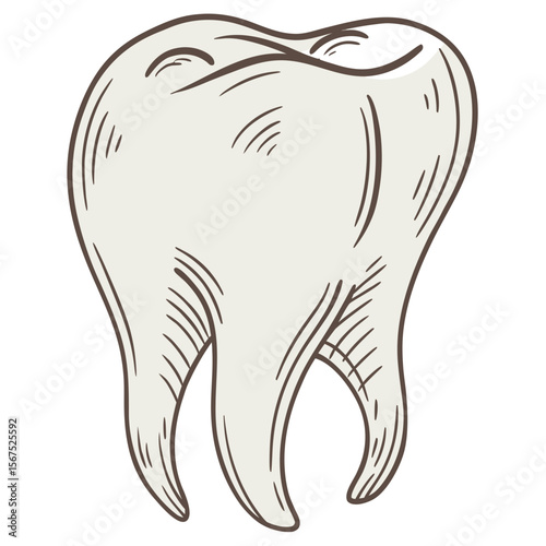Stylized Tooth Illustration dental molar