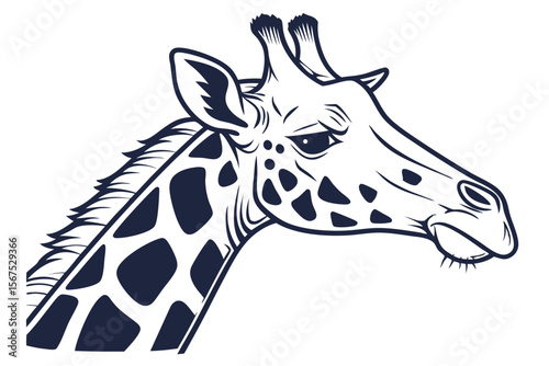 portrait displays an irritated giraffe head in black and white style