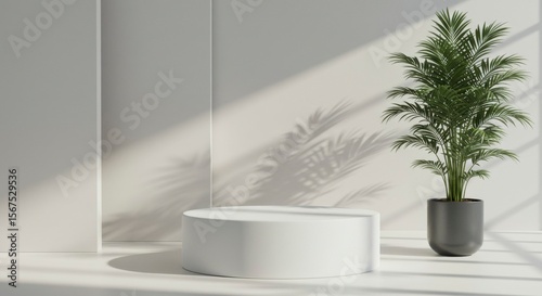 Minimalist display podium with plant. Sunlight casts shadows on neutral backdrop