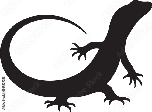 lizard on a white background
