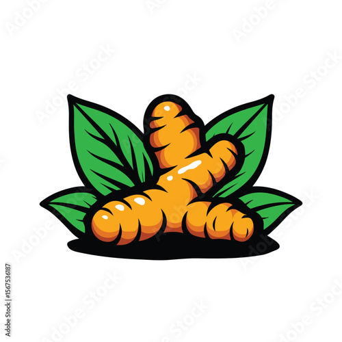 Realistic Turmeric Root and Leaves Herbal Spice Illustration