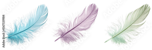 Set For colorful feathers isolated on transparent background