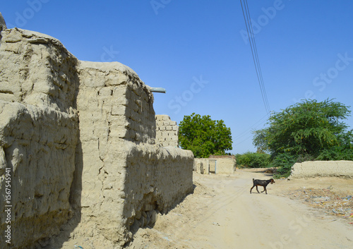 landscape view of Baluchistan city Turbat ancient village mud houses street, nature summer blue sky trees and animal