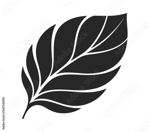 Simple Botanical Leaf Silhouette, Clean Black and White Plant Illustration On White Background

