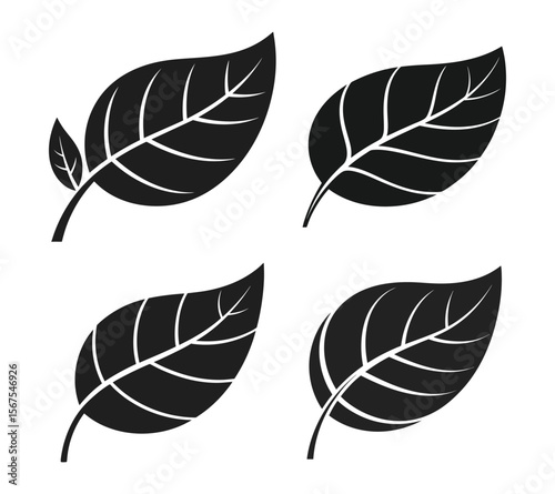 Black Plant Leaf Clipart,  Modern Natural Graphic for Green Branding On White Background

