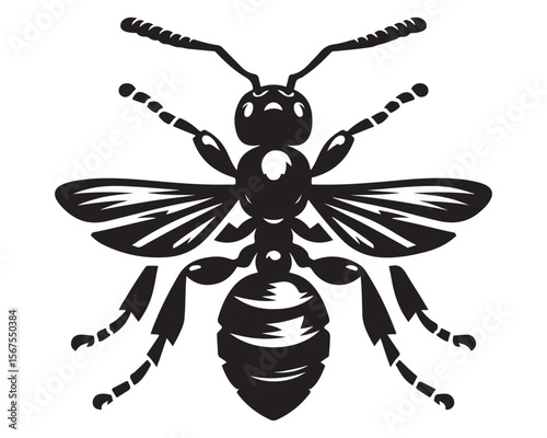 Carpenter Ant 6.eps