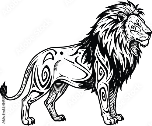 lion vector illustration tattoo, Vector