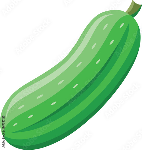 Colorful and stylish cucumber fruits vector illustration, cucumber vector graphics icon design, Vintage and retro cucumber vector graphics resource, cucumber editable vector art