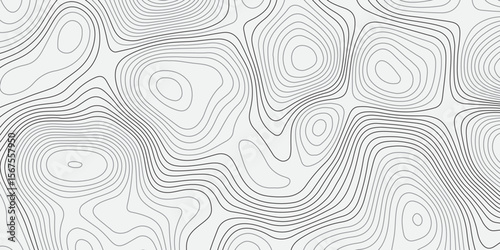 A seamless, minimalist background featuring abstract topographic contour lines in soft greys over a clean white canvas. The undulating,wavy lines form organic,layered shapes resembling elevation maps.