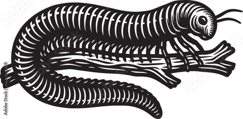 Millipede on Branch Detailed Line Art Illustration