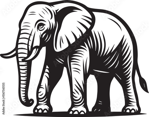 Majestic African Elephant Illustration Black and White Line Art