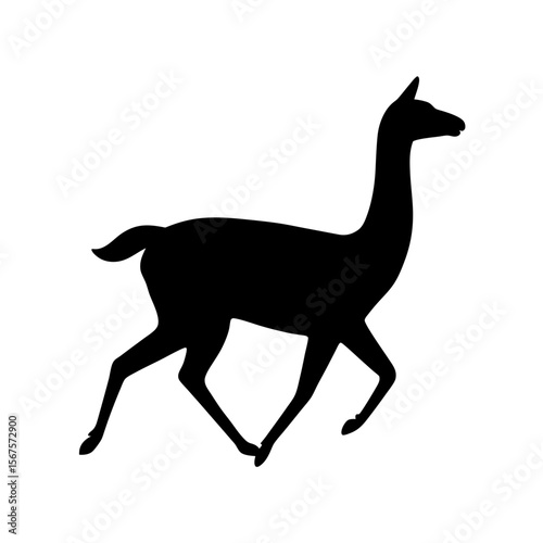 Graceful Black Silhouette Guanaco Running South American Llama