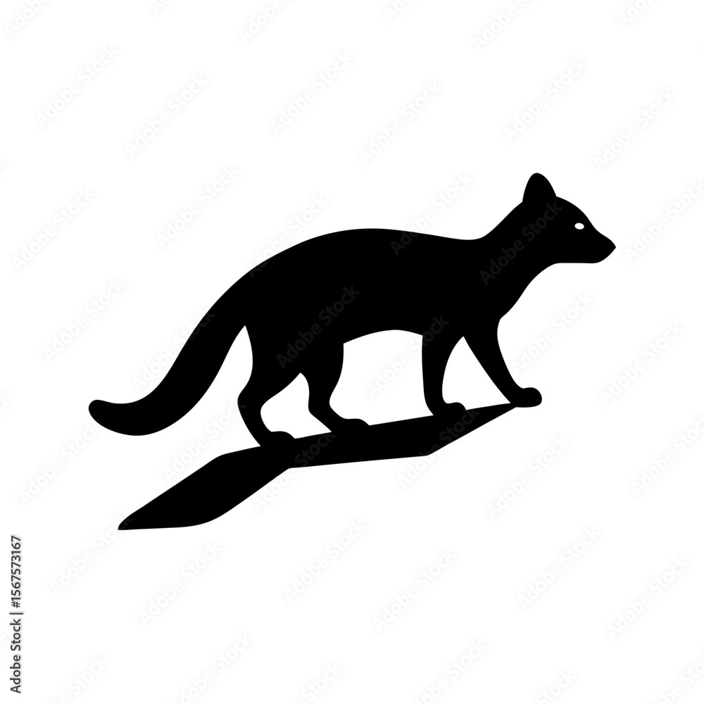 Fototapeta premium Agile Black Silhouette Genet Climbing Stealthy Nocturnal African Mammal