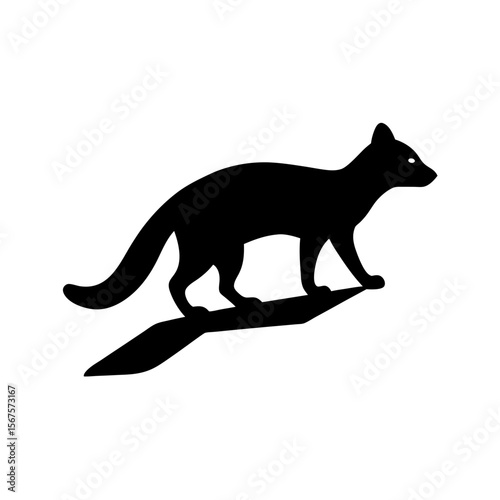 Agile Black Silhouette Genet Climbing Stealthy Nocturnal African Mammal