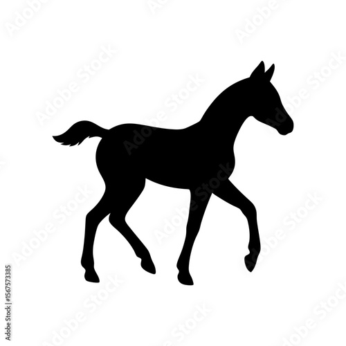 Joyful Black Silhouette Foal Frolicking Happy Young Horse Playful Scene