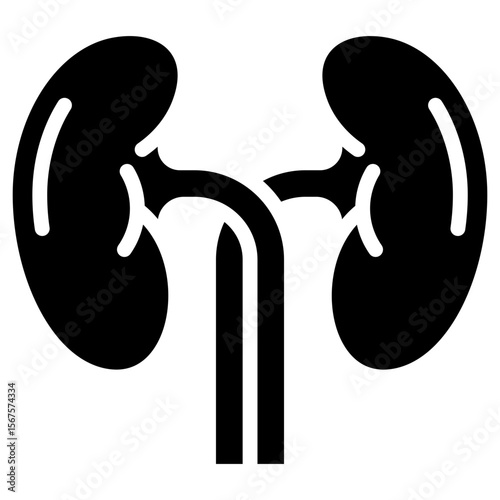 Kidneys Icon