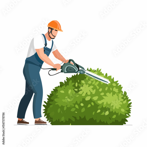 Man trims shrub with electric hedge trimmer