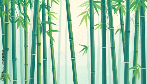 Lush Green Bamboo Forest in Soft Misty Light