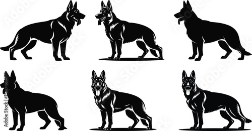 Pack of german shepherds standing in guard pose collection silhouette vector illustration
