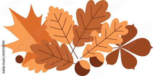 Autumnal arrangement of oak and maple leaves with acorns.