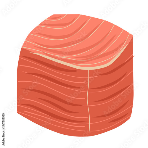 Salmon fillet illustration, salmon meat slices, seafood vector illustration 