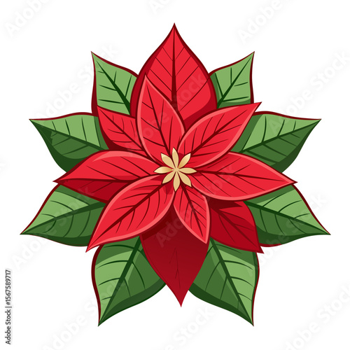 poinsettia flower isolated on white