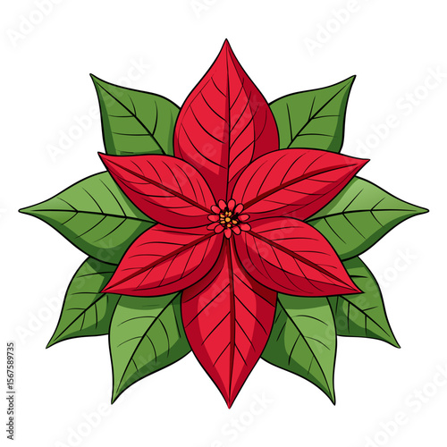 red and green leaves