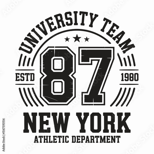 New York, Brooklyn t-shirt design. T-shirt print design in American college style. Athletic typography for tee shirt print in university and college style. Vector