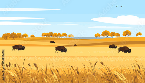 Bison Grazing in a Golden Prairie Landscape Under a Blue Sky