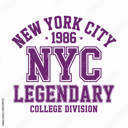 New York, Brooklyn t-shirt design. T-shirt print design in American college style. Athletic typography for tee shirt print in university and college style. Vector