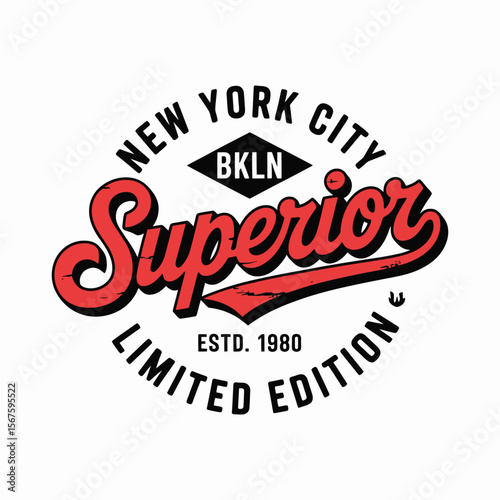 New York, Brooklyn t-shirt design. T-shirt print design in American college style. Athletic typography for tee shirt print in university and college style. Vector — Vector