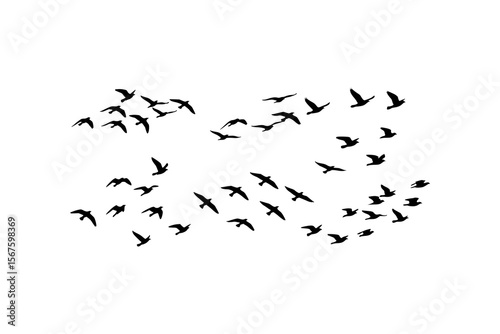 Several flocks of birds flying in formation, suitable for nature, wildlife, and environmental themes in design projects and presentations.
