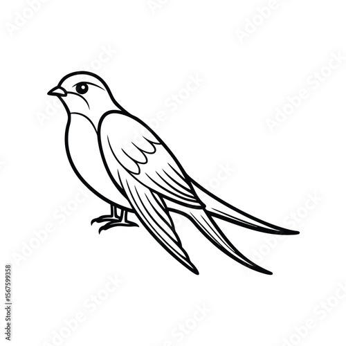 A swift bird line art vector illustration.