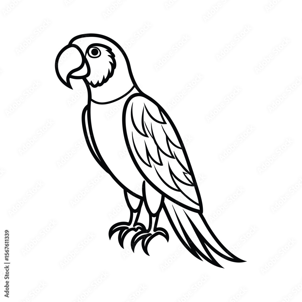 A Macaw Bird line art vector illustration. A Macaw Bird line art vector illustration.
