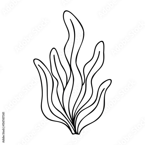 Simple outline of seaweed design. Vector hand-drawn doodle illustration