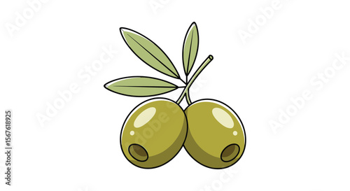 Fresh Green Olives on a Branch with Leaves
