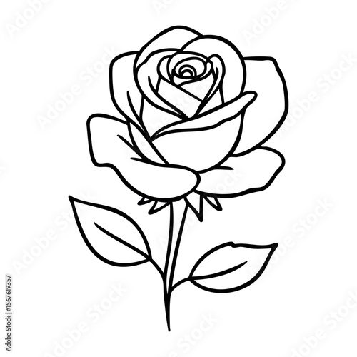 Simple line art of a single rose with leaves. Vector hand-drawn doodle illustration
