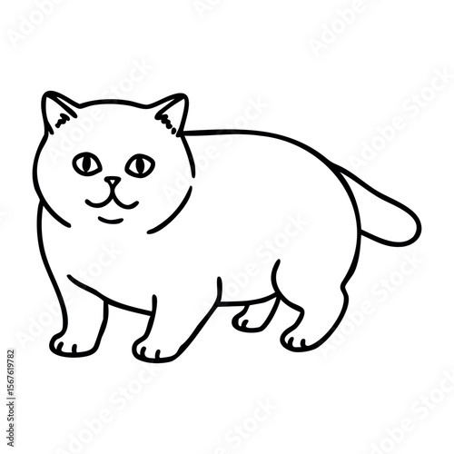 Outline drawing of a british shorthair cat with a smile. Vector hand-drawn doodle illustration