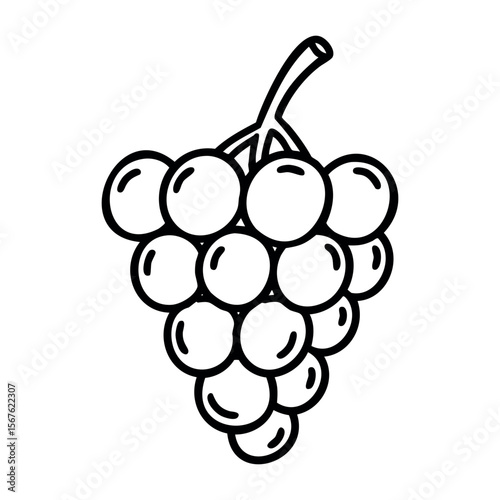 Outline drawing of a grape cluster with leaf and stem. Vector hand-drawn doodle illustration
