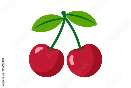 Sweet Cherries Juicy, Red Summer Fruit Illustration