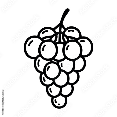 Black and white line art of a grapevine bunch. Vector hand-drawn doodle illustration