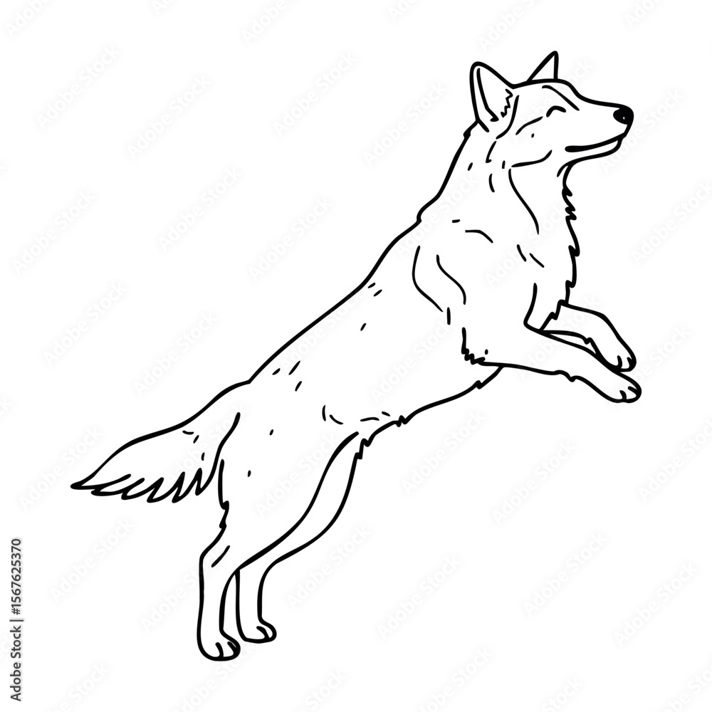 Fototapeta premium Line drawing of a german shepherd jumping with graceful elegance. Vector hand-drawn doodle illustration