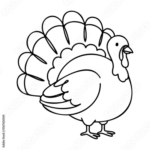 Outline drawing of a turkey with detailed plumage for coloring. Vector hand-drawn doodle illustration